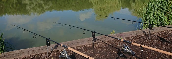 fishing-rods